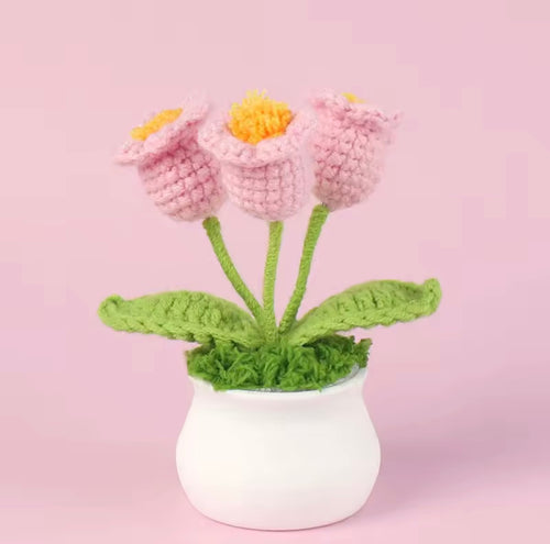 Handmade Cochet Flower pot