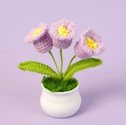 Handmade Cochet Flower pot