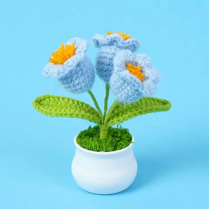 Handmade Cochet Flower pot