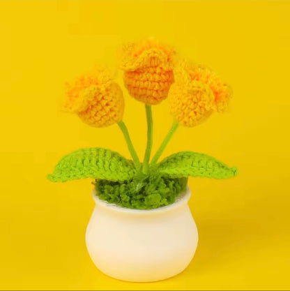 Handmade Cochet Flower pot