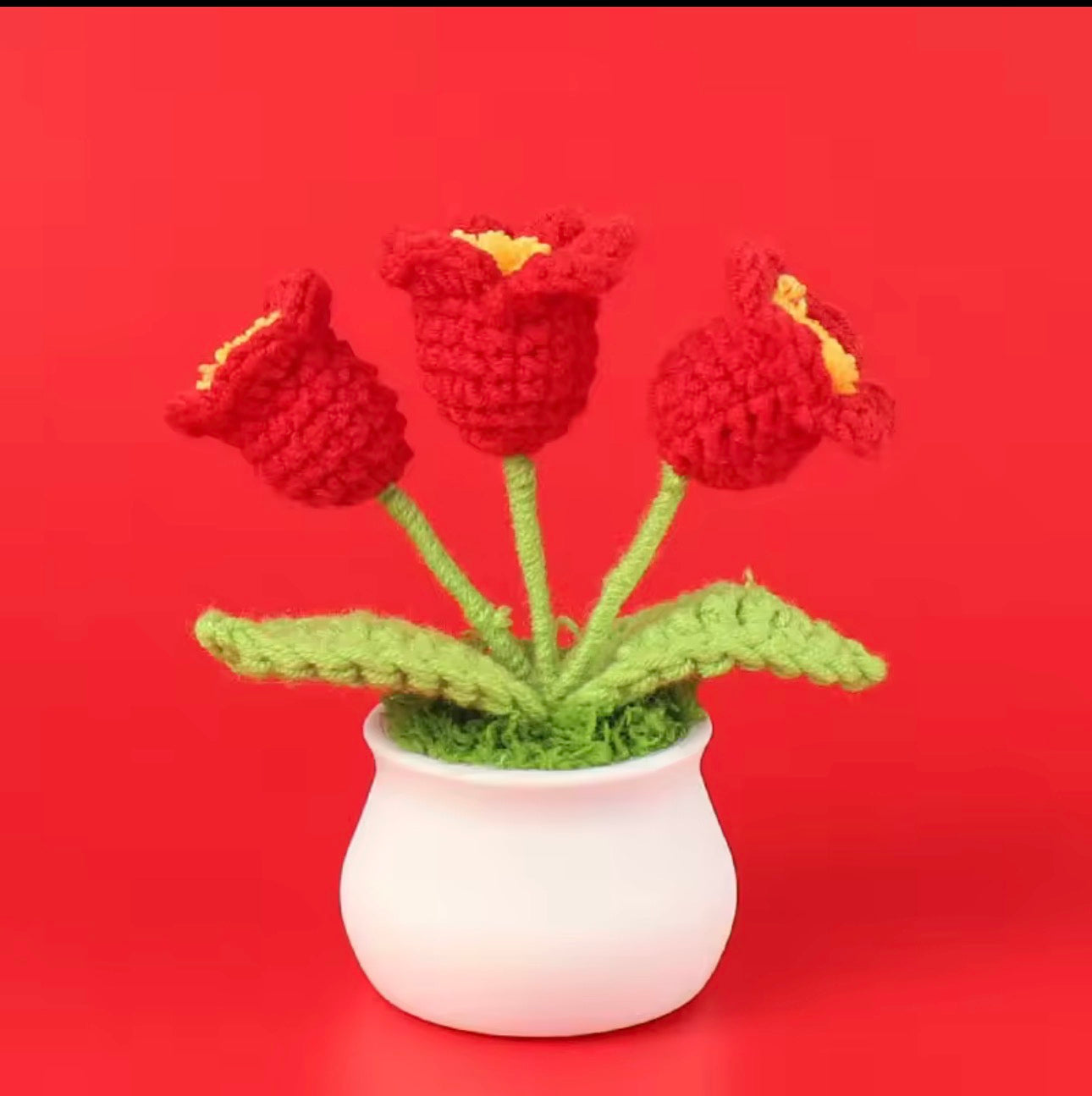 Handmade Cochet Flower pot