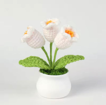 Handmade Cochet Flower pot